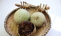 Trái quách Trà Vinh: Càng ăn càng thích Trái quách Trà Vinh: Càng ăn càng thích