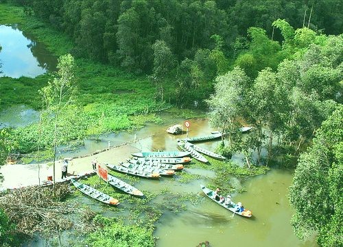 Gao Giong- zona ekowisata yang menarik di kawasan Dong Thap Muoi - ảnh 2