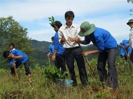 地方レベルへの指導者の増強 - ảnh 1