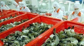 冷凍エビに対する米国の決定に反対 - ảnh 1