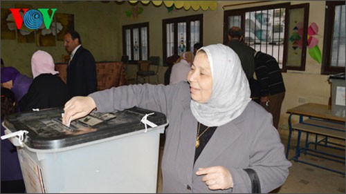 エジプト 大統領選の先行実施を発表 - ảnh 1