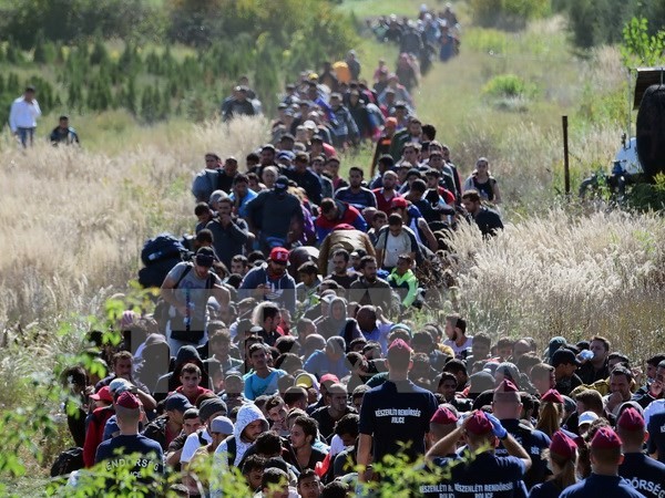 EU、難民流入71万人に=9カ月間で過去最多 - ảnh 1