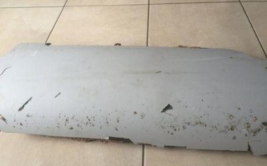 不明マレーシア機の新たな残骸か、観光客がモザンビークで発見 - ảnh 1