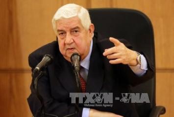 シリア外相「和平協議で大統領の処遇議論せず」 - ảnh 1