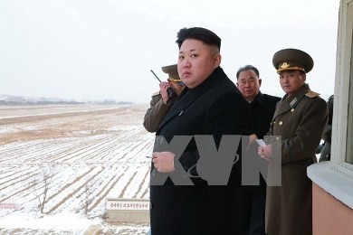 米 朝鮮制裁決議実施へ新たな大統領令 - ảnh 1