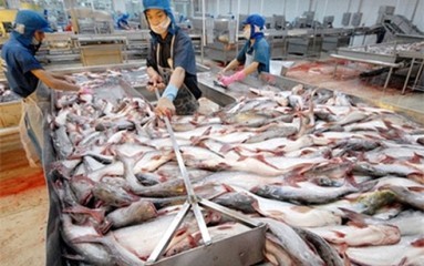 米上院 ナマズ監視プログラムを廃案 - ベトナム 歓迎 - ảnh 1