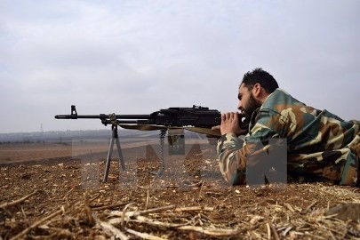 トルコとロシア、シリア停戦案を策定=トルコ外相 - ảnh 1