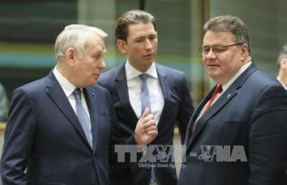 EU外相理事会、対ロシア制裁堅持を表明 - ảnh 1