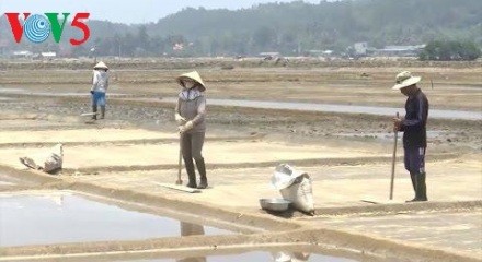 中部最大の塩田、サーフイン村 - ảnh 1