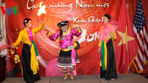 各国在留ベトナム大使館、テトを祝う集い - ảnh 1