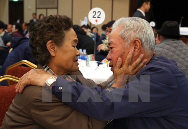 南北離散家族に別れの面会、高齢者は「最後」の覚悟 - ảnh 1