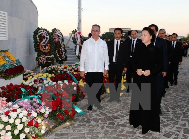 Vietnam’s Party and State leaders pay tribute to Fidel Castro - ảnh 1