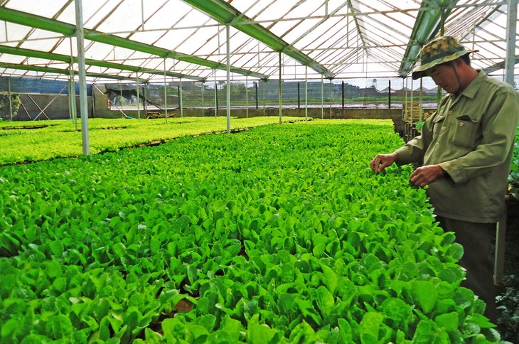 Promoting Vietnam’s green brand names - ảnh 1