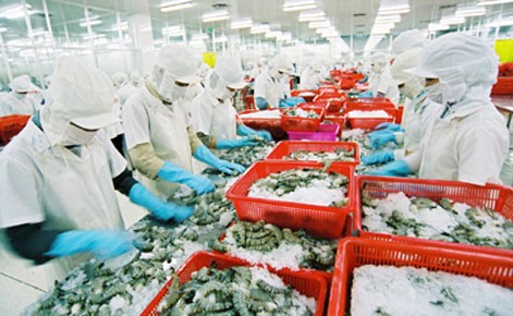Vietnam exportierte 2013 Garnelen im Wert von 2,8 Milliarden US-Dollar - ảnh 1