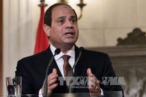 Une nouvelle page des relations Vietnam-Egypte - ảnh 1