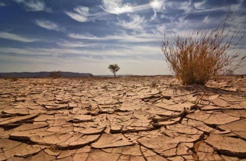 Die nationale Strategie zum Klimawandel - ảnh 1