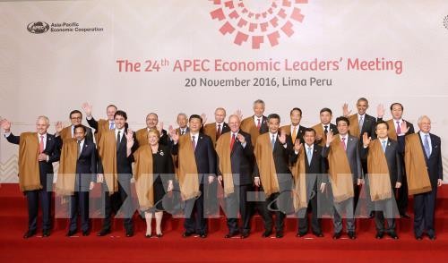 Tran Dai Quang beendet seine Aktivitäten im Rahmen des APEC-Gipfels 2016 - ảnh 1