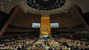 Генассамблея ООН провела чрезвычайную встречу для обсуждения ситуации в Сирии - ảnh 1