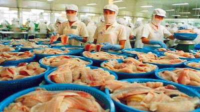 Экспорт сельскохозяйственной продукции Вьетнама в Россию - ảnh 1