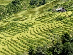 В провинции Иенбай октроется Неделя культуры, спорта и туризма, посвященная... - ảnh 1