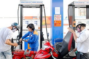 Одобрен бизнес-план топливной корпорации Petrolimex на период 2011-2015 гг. - ảnh 1