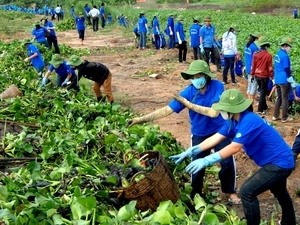 Tọa đàm về chính sách, pháp luật đối với thanh niên - ảnh 1