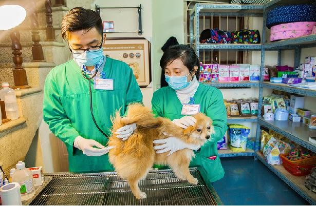 Tăng cường kiểm soát và tiến tới loại trừ bệnh dại tại Việt Nam - ảnh 1
