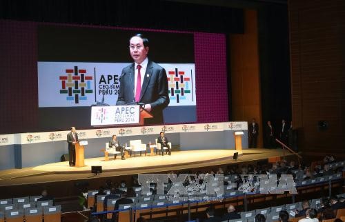 APEC 2017 confirms Vietnam’s stature - ảnh 1