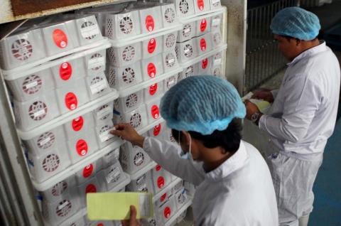 Oportunidades de exportaciones vietnamitas con el ejemplo del litchi - ảnh 1