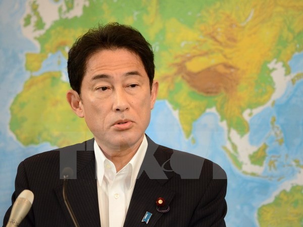 Laos y Japón llaman a resolver por medios pacíficos disputas en el Mar Oriental - ảnh 1
