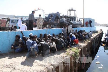 Italia y Alemania afianzan cooperación en respuesta a crisis migratoria - ảnh 1