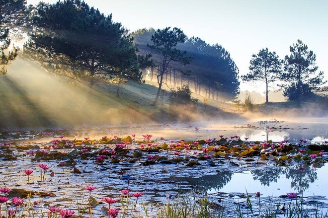 Đà Lạt, uno de los nueve destinos favoritos para descubrir en Asia - ảnh 7