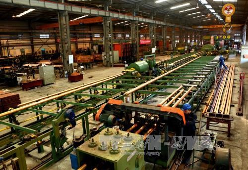 Empresas privadas, una fuerza impulsora para competitividad y autonomía económica - ảnh 1