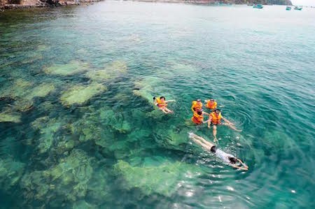 Vietnam recibe a más de 4 millones de turistas extranjeros en primeros 5 meses de 2016 - ảnh 1