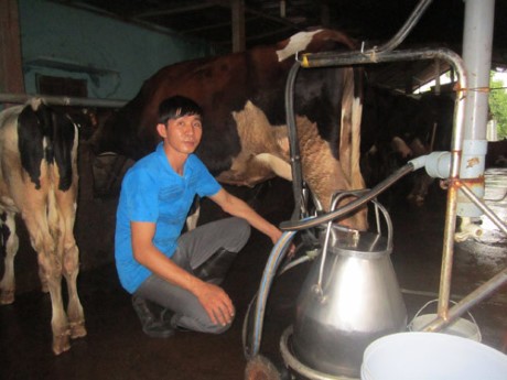 Agricultores de Ciudad Ho Chi Minh participan en innovación tecnológica - ảnh 1