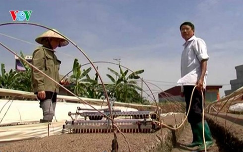 Agricultores de Ciudad Ho Chi Minh participan en innovación tecnológica - ảnh 2