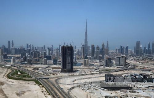 Egipto y Emiratos Árabes Unidos establecen mecanismo bilateral de consulta política - ảnh 1