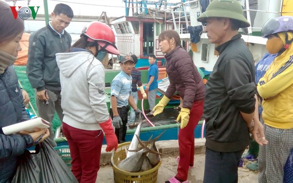 Pescadores vietnamitas cosechan abundantes recursos marítimos en primer viaje en alta mar - ảnh 1