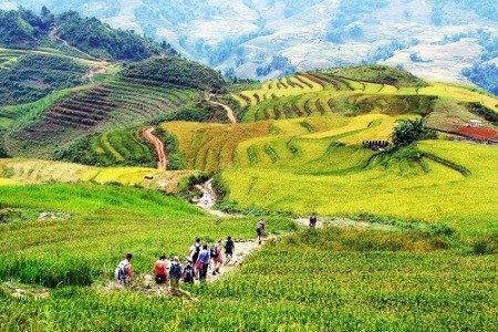 Lao Cai acoge Año Nacional de Turismo 2017 - ảnh 1