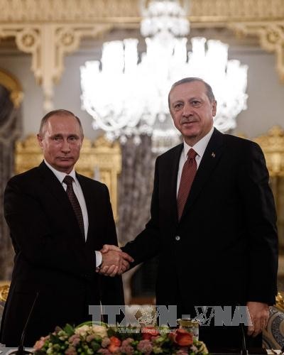 Presidente de Rusia ratifica acuerdo “Flujo Turco” - ảnh 1