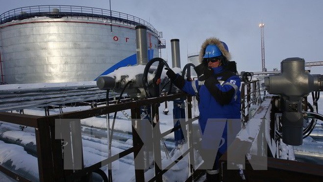 Rusia y Libia llegan a un acuerdo sobre la cooperación en materia del petróleo - ảnh 1