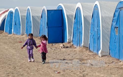 Canadá ratifica compromiso de acoger a refugiados iraquíes - ảnh 1