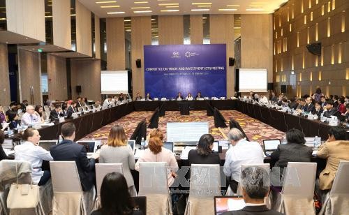 Prosiguen en Nha Trang las primeras reuniones de alto nivel de APEC - ảnh 1