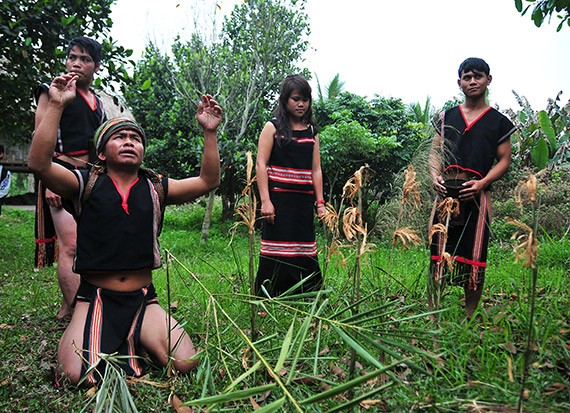 Los Xo Dang festeja la nueva cosecha - ảnh 1