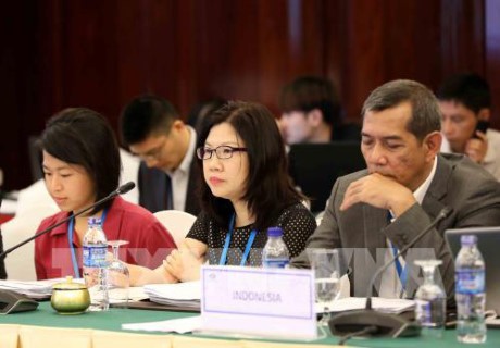 Prosiguen en Ciudad Ho Chi Minh las reuniones de SOM3 de APEC - ảnh 1