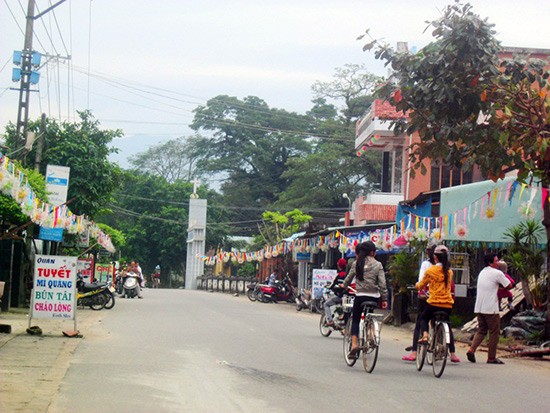 Pembangunan pedesaan baru di kecamatan Duy Son, kabupaten Duy Xuyen, propinsi Quang Nam - ảnh 1