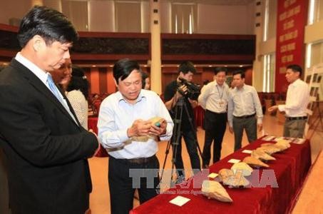 越南旧石器时代早期遗址考古学研究初步结果发布 - ảnh 1