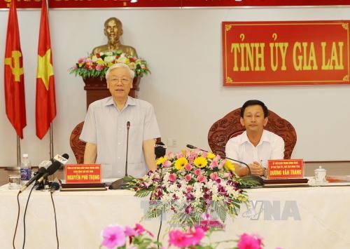 阮富仲:嘉莱省要开发潜力和优势发展高水平高质量农林业 - ảnh 1