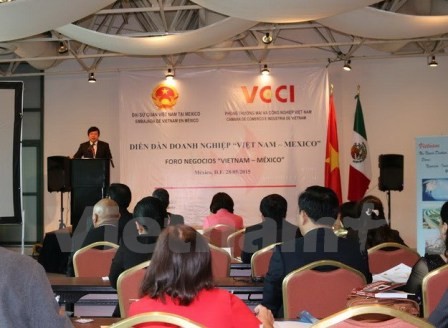 Diễn đàn doanh nghiệp Việt Nam-Mexico - ảnh 1