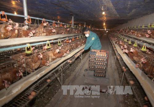 Thu hẹp khoảng cách giàu nghèo mục tiêu của Việt Nam trong chặng đường phát triển mới - ảnh 3